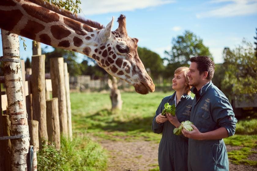 blair-drummond-parks-culture