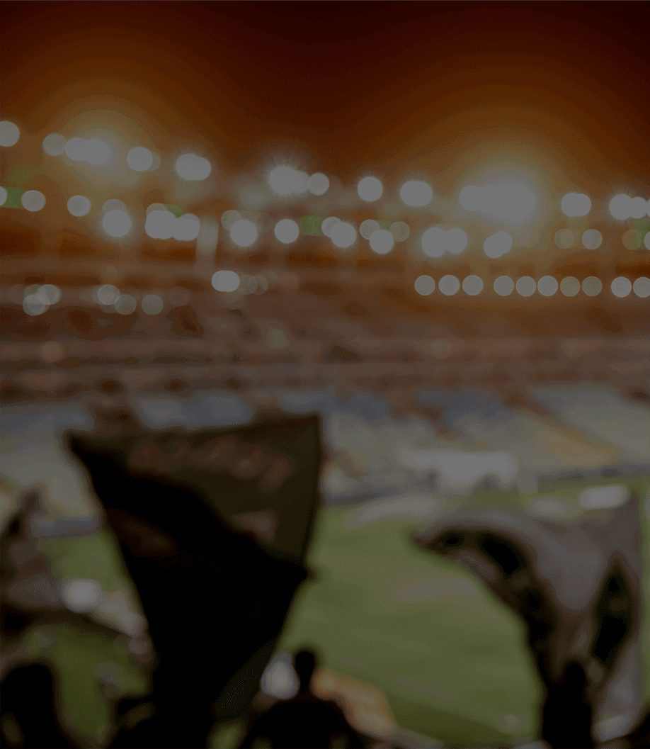 responsive-stadium-background