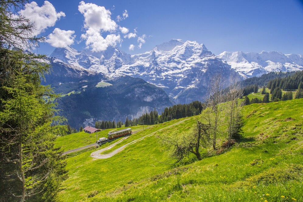 Swiss-Alps