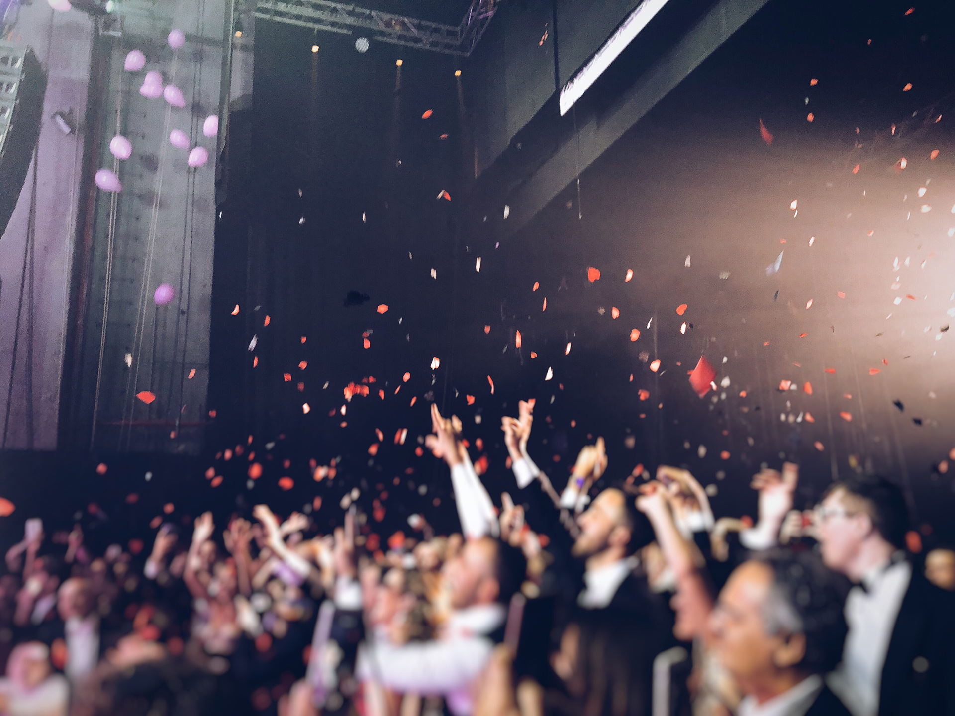 festival-concert-fans