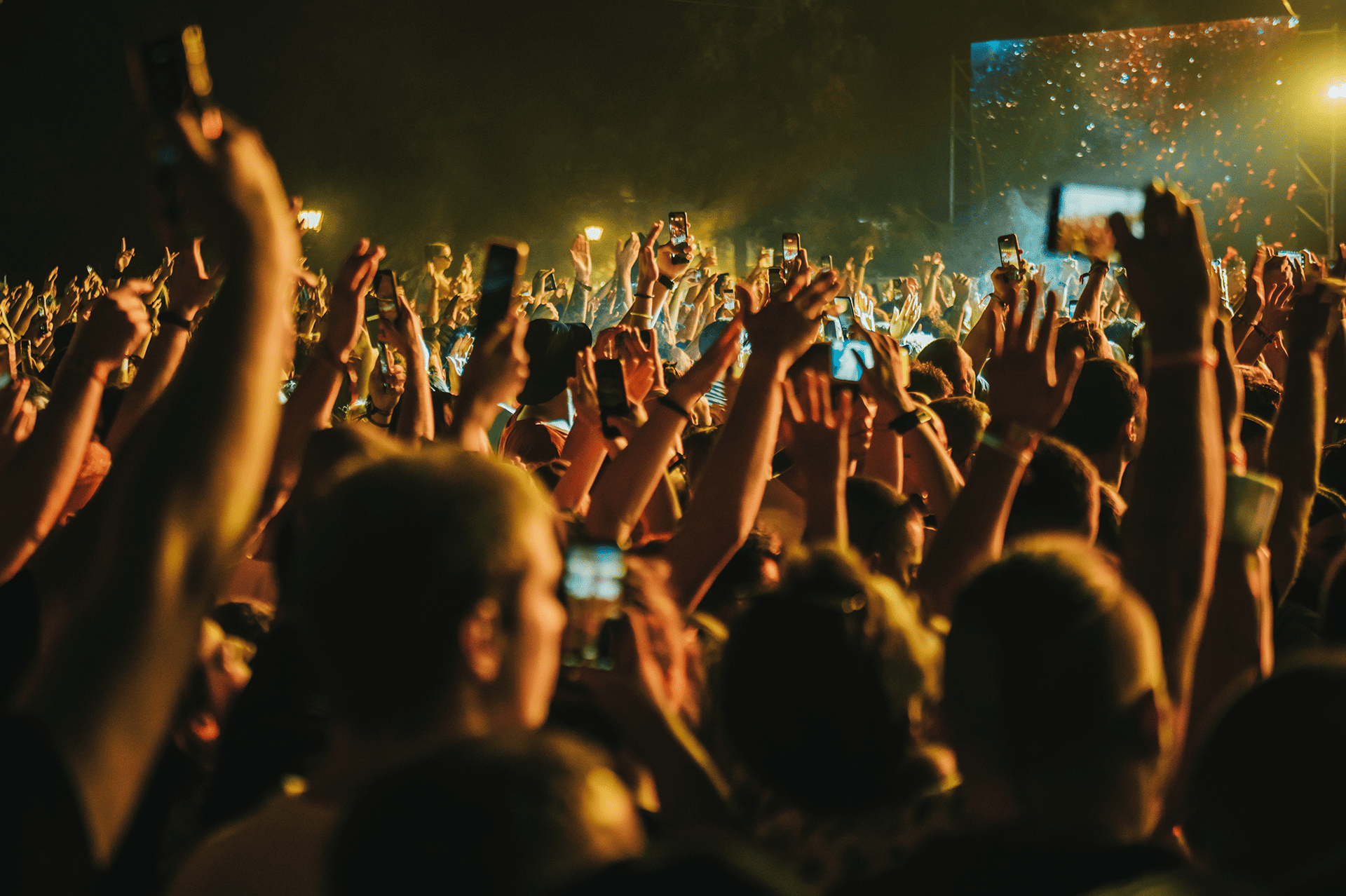concert-crowd-on-a-music-concert-fans